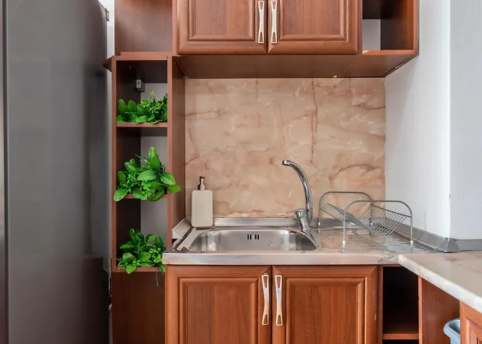 Unique With Pool And Sauna 公寓 瓦爾納